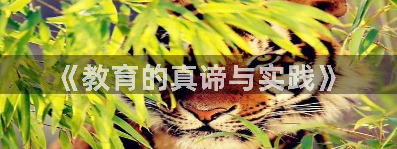 jdb电子平台
