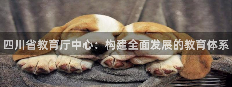 jdb电子平台入ly79,cn
