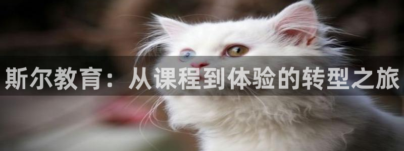 jdb电子游戏app
