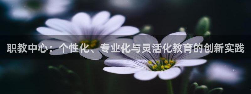jdb电子采矿宝贝