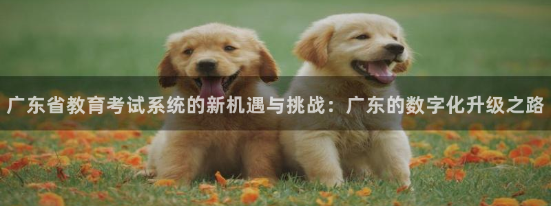 电子游艺jdb变脸
