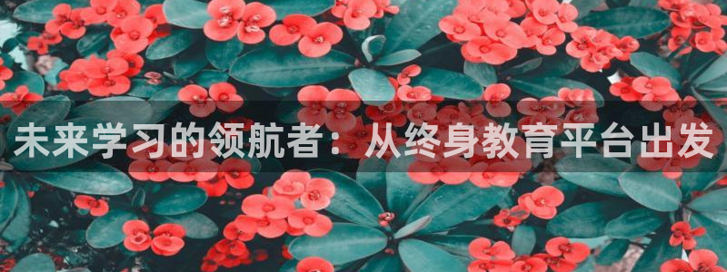 下载jdb