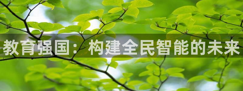 jdb电子可以操控的吗