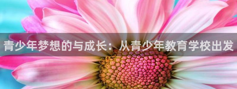 jdb电子网址大全