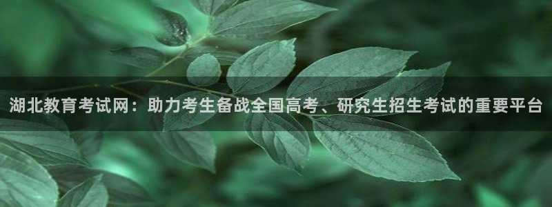 jdb电子麻将胡了