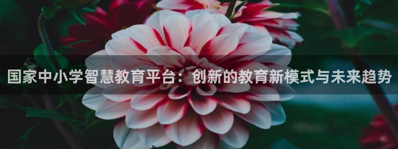 jdb电子app