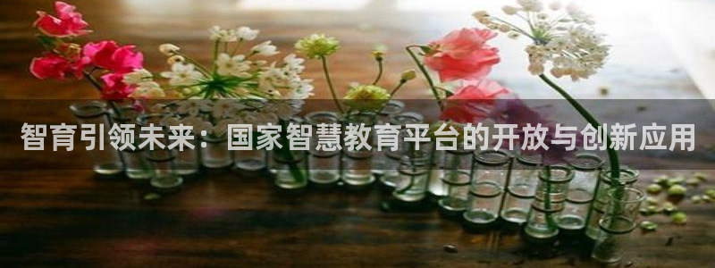 JDB电子夺宝组件下载