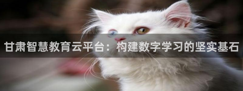 JDB平台临时维护