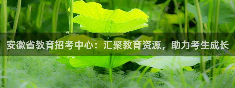 jDB电子黄金王牌