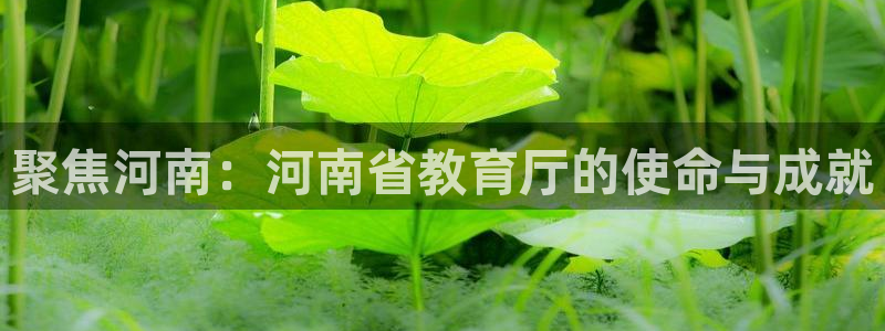 jdb电子飞鸟派对游戏爆大奖图片