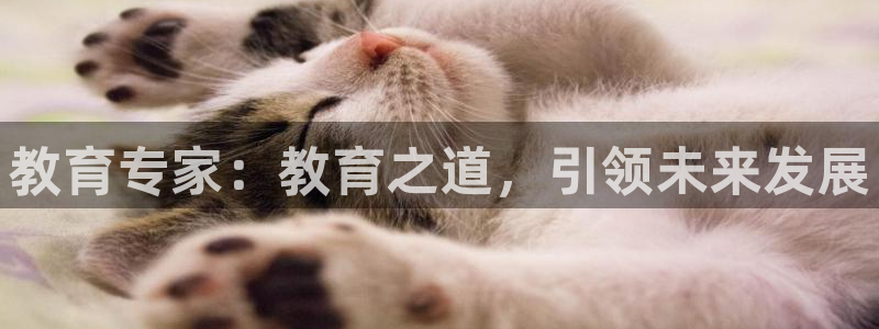 jdb电子游戏金刚