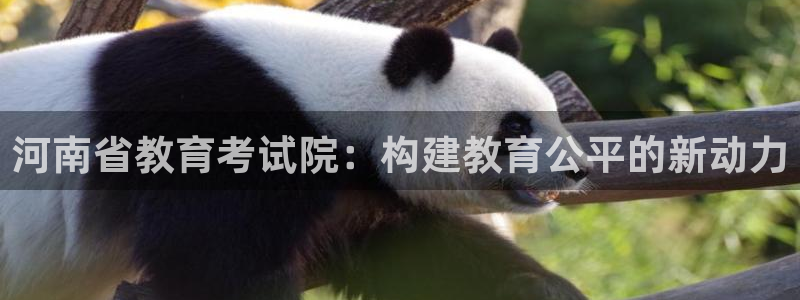 jdb在线平台