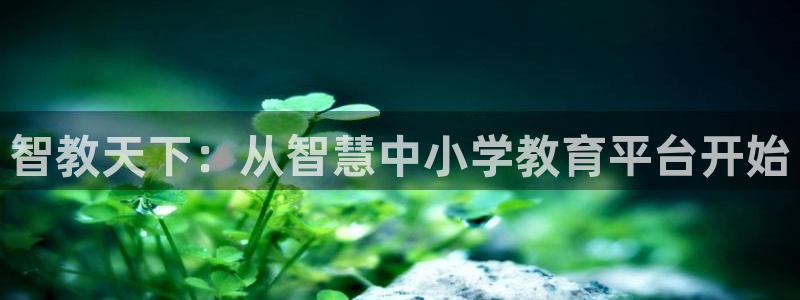 jdb电子飞鸟派对游戏