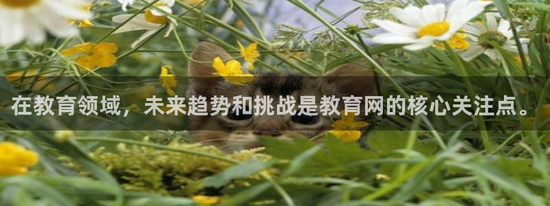 jdb 电子