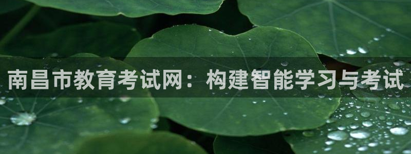 jdb平台是哪个公司