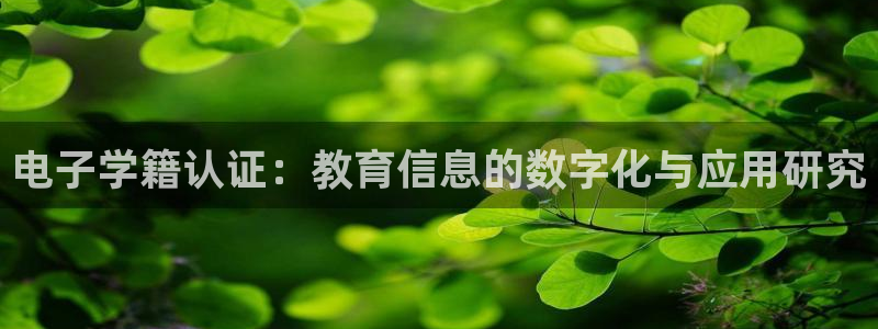 JDB电子网站