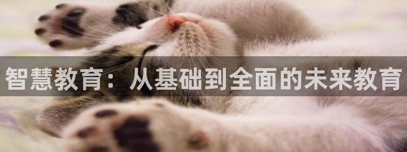 jdb电子飞鸟派对游戏爆大奖图片