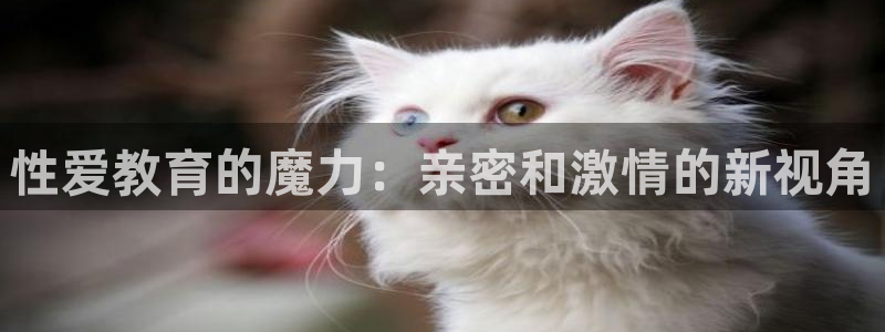 jdb彩金jp获得