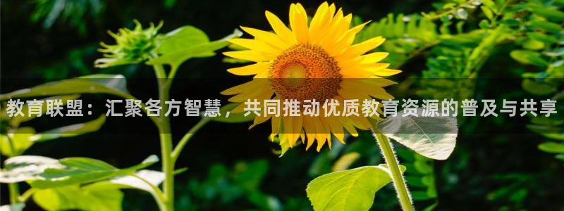 jdb电子金刚