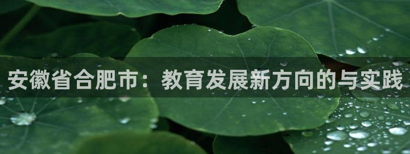 jdb电子游戏怎么玩