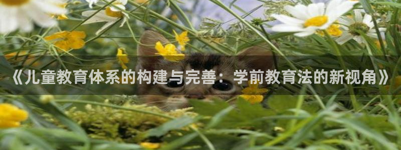 jdb电子游戏浪花2视频