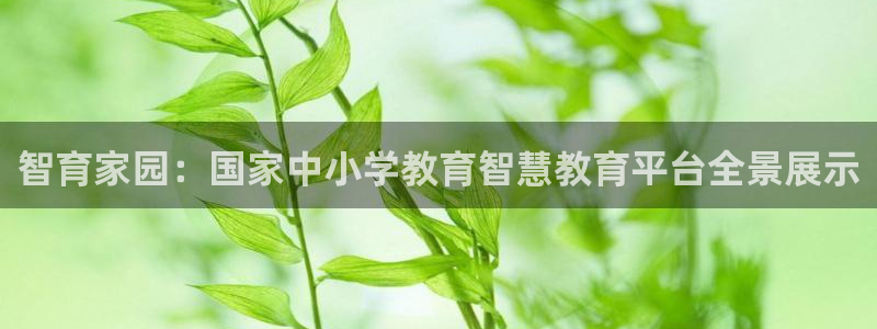 jdb电子游戏网址大全