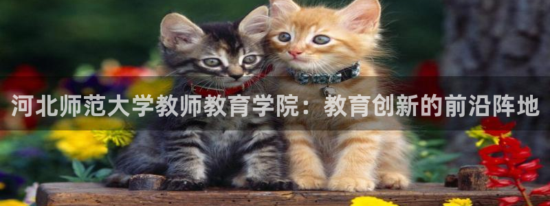 jDB电子下载