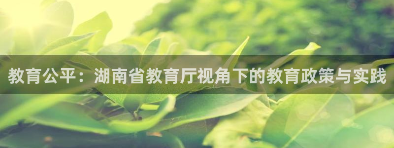 jdb下载