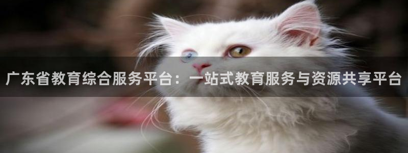 夺宝jdb网址