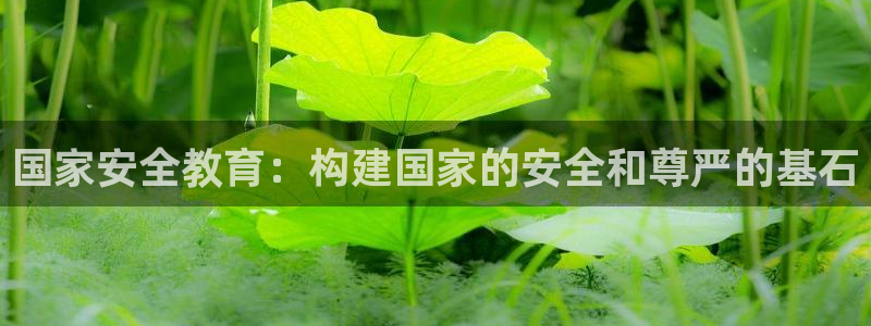 Jdb电子怎么赢不了