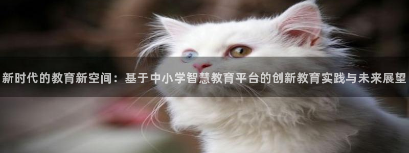 jdb电子变脸2技巧