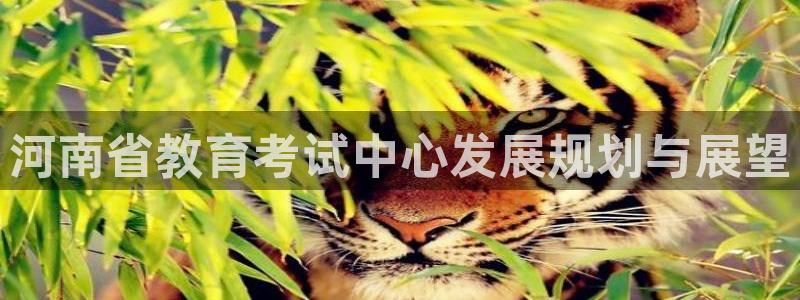jdb电子游戏超级大奖视频