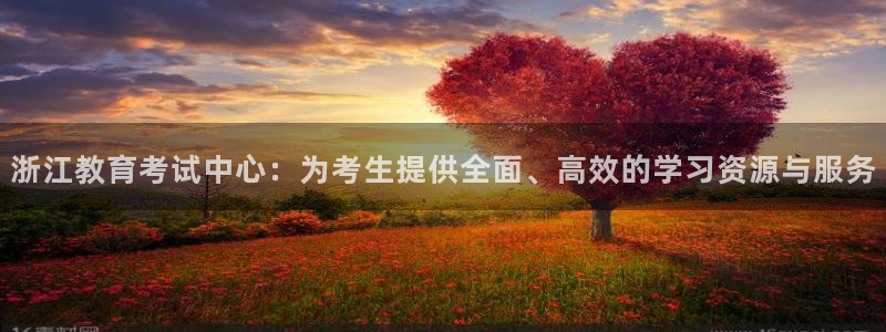 jdb电子台湾黑熊怎么玩