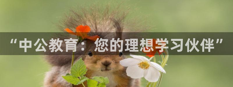 jdb电子平台什么好爆