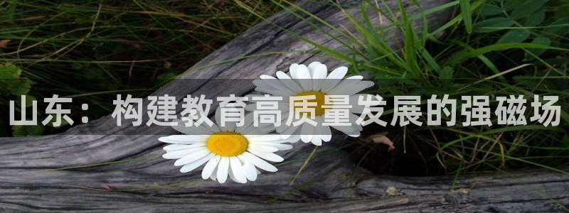 jdb电子平台98db,in