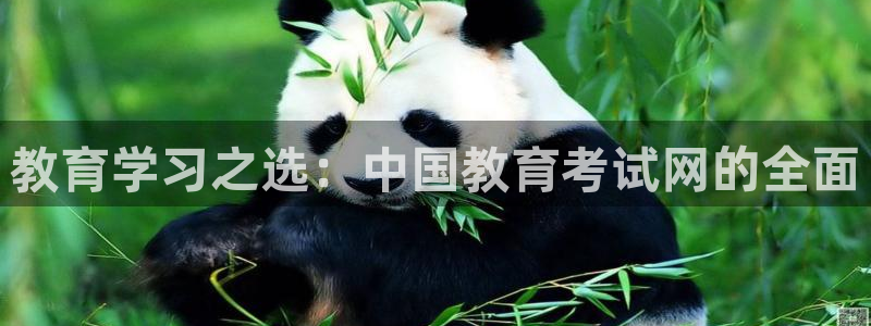 Jdb电子怎么赢不了