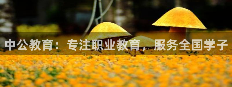 jdb电子在线试玩平台